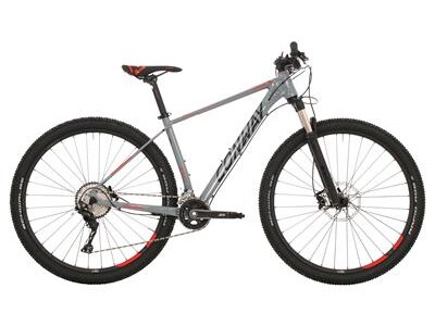 Conway 29