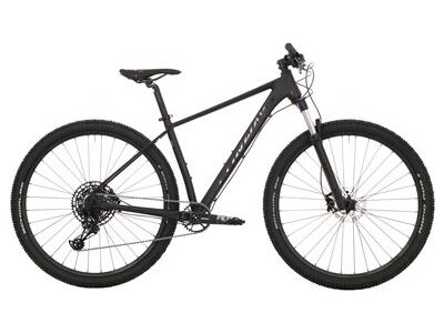 Conway 29
