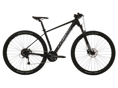 Conway 29