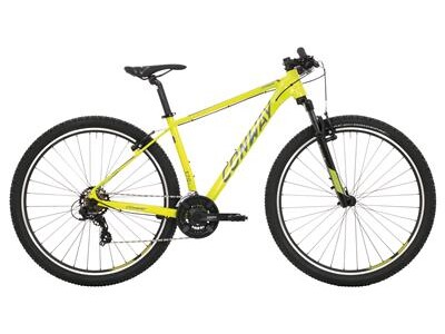 Conway 29