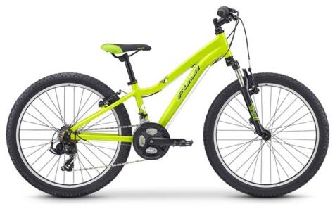 Fuji dynamite 24 Comp Citrus