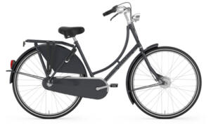 GAZELLE&nbsp;Classic