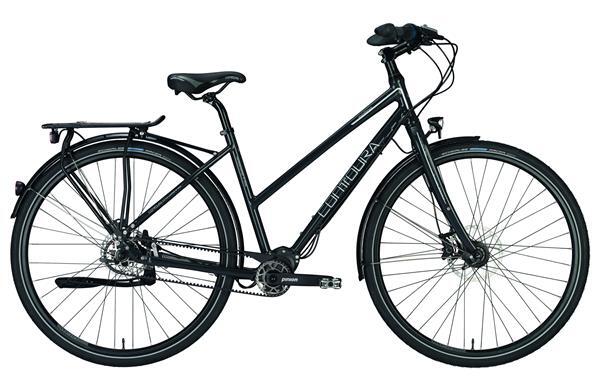 CONTOURA - Pollino Pinion