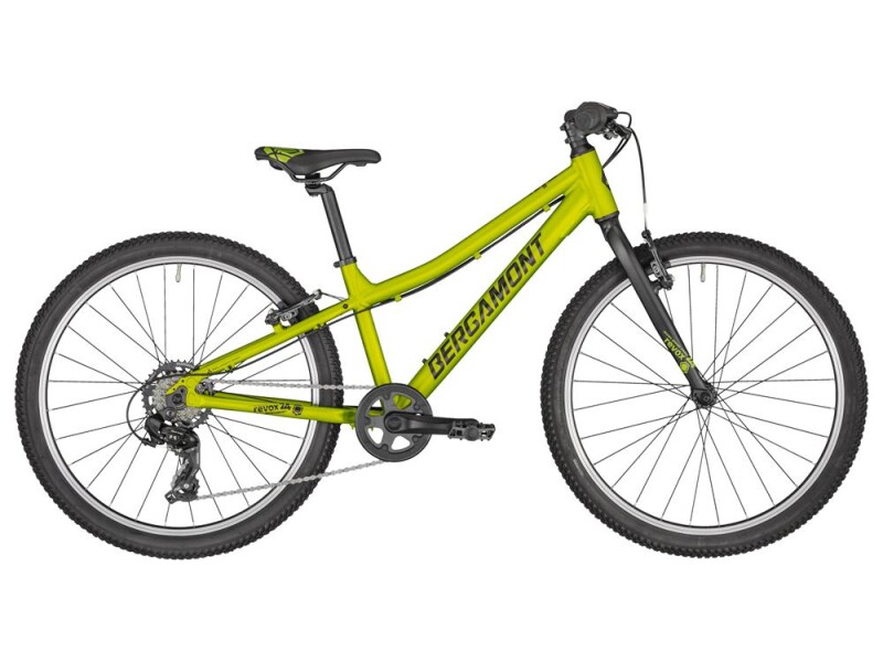 Bergamont Revox 24 Lite