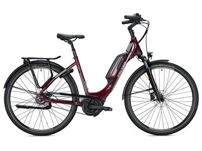 Falter E 9.5