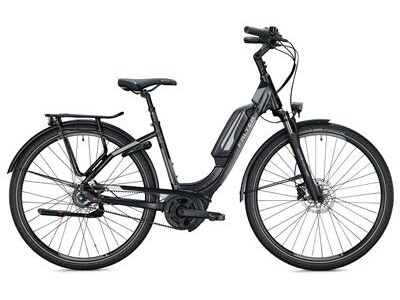 FALTER E9.5