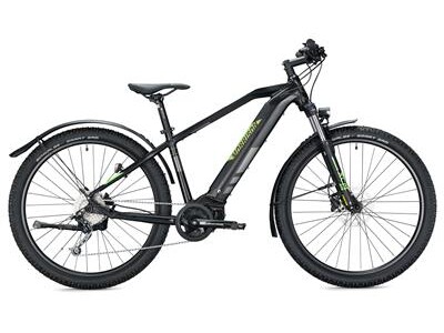 MORRISON Cree 29 Diamant