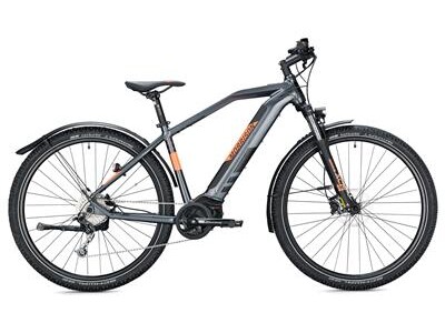 MORRISON Cree 29 Diamant