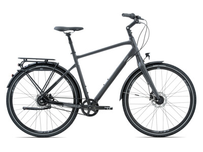 GIANT Anytour CS 2
