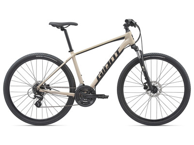 GIANT Roam 4