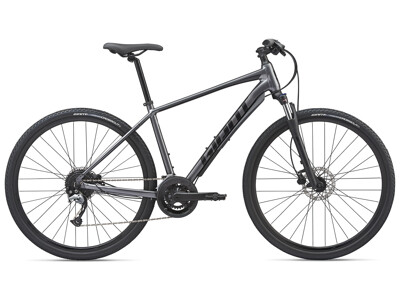 GIANT Roam 2