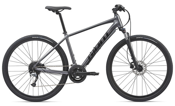 giant roam 2 disc charcoal