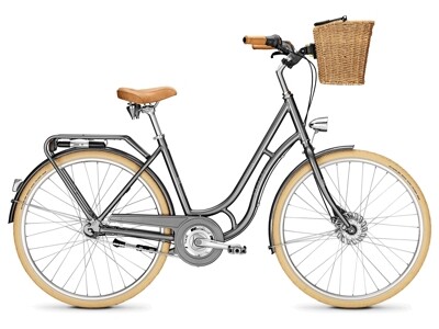 Raleigh Brighton 7