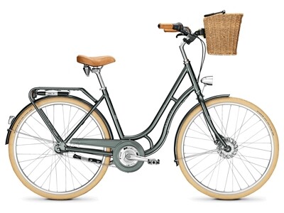 Raleigh Brighton 7