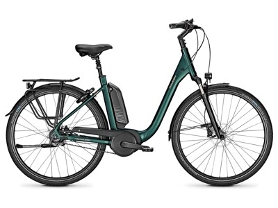 Raleigh Kingston Premium