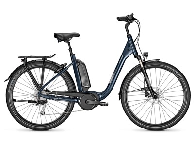 Raleigh Kingston 9 XXL