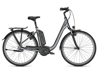 Raleigh Kingston 8 R HS