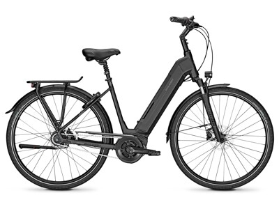 Raleigh Bristol 8
