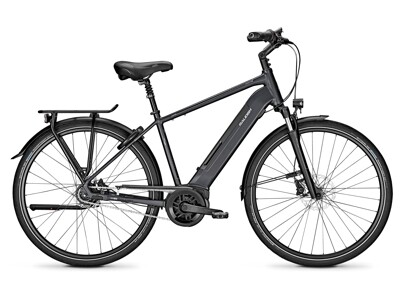 Raleigh Raleigh Bristol 8R Herren