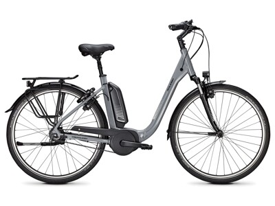 Raleigh Kingston 8
