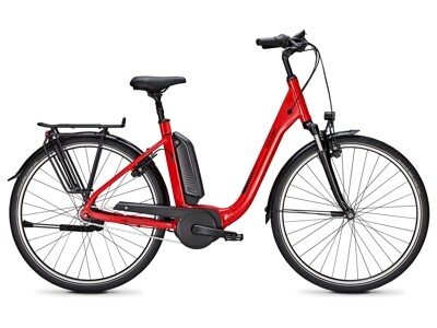 Raleigh Kingston Edition