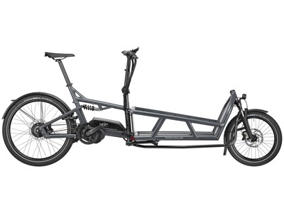 Riese und Müller Load 75 Vario