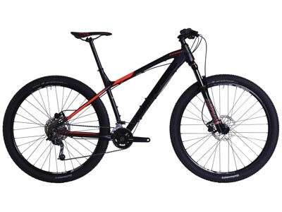 Corratec X-Vert Expert 29