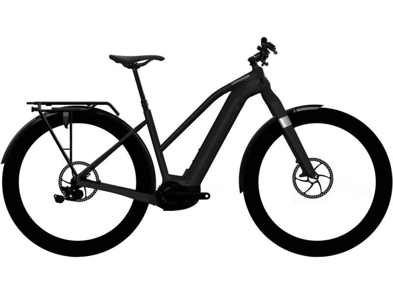 Cannondale Canvas Neo Remixte 1