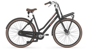 GAZELLE&nbsp;Miss Grace