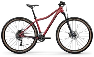 CENTURION Backfire Fit Pro 200.27 cranberry