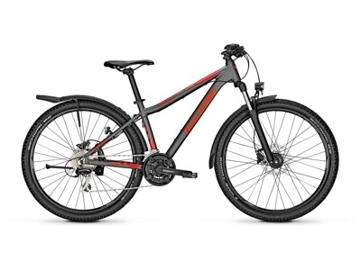 Raleigh Daymax Trapez - Größe 44/M