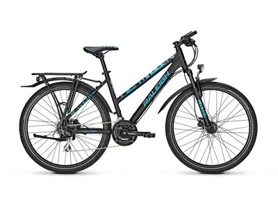 Raleigh Funmax Disc