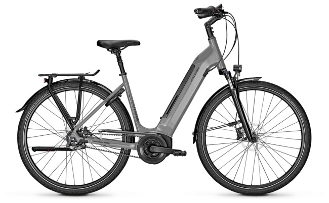 Raleigh Bristol 8 Premium