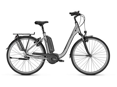 Raleigh Kingston 7
