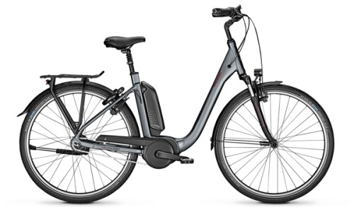 Raleigh Kingston Premium 8