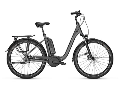 Raleigh Kingston 8 XXL