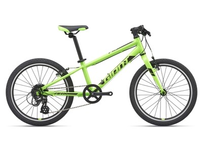 GIANT 24