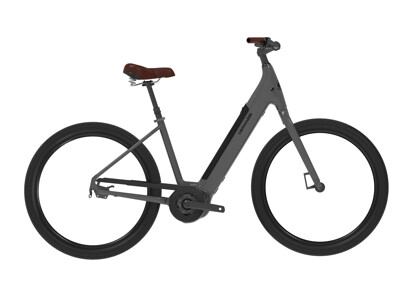 Cannondale Adventure Neo 3.1 EQ