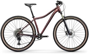 CENTURION Backfire Fit Pro 800.29 HP2