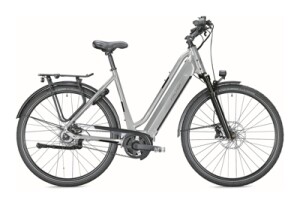 FALTER E 9.8 FL PLUS Wave metallic silver, glossy