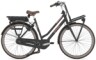 GAZELLE - Miss Grace C7 HMB