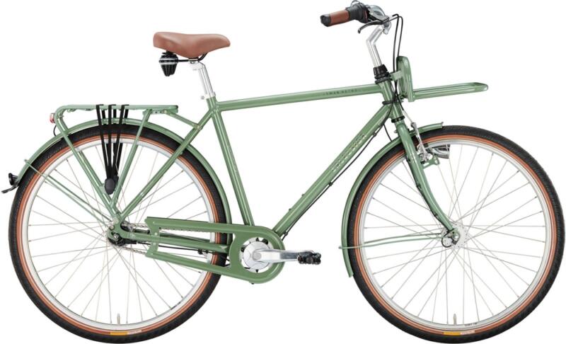 Excelsior Swan-Retro FT Alu Tourensport Citybike