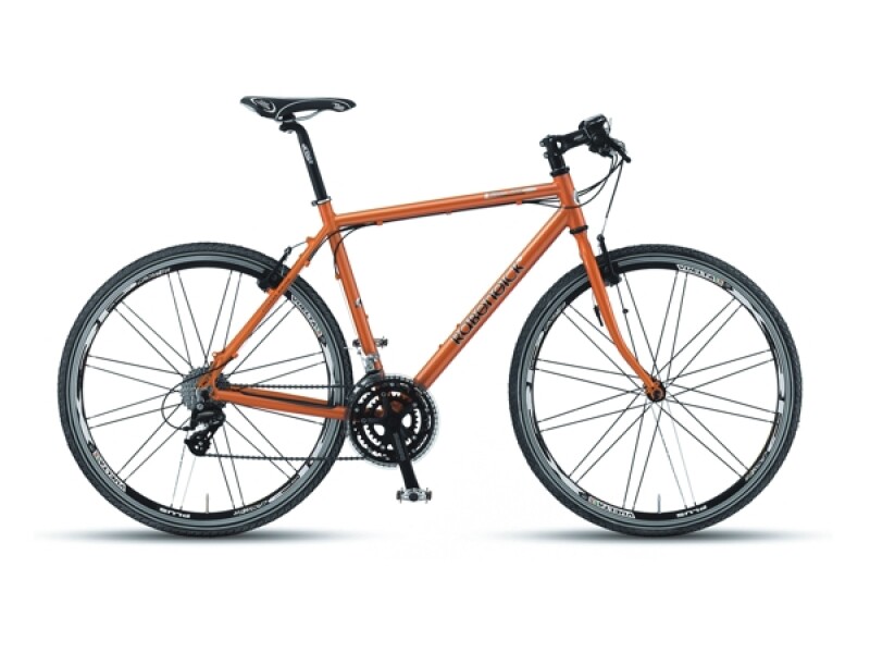 Rabeneick F-400 Fitness Bike
