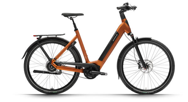 DUTCH ID - Phantom+ S75 TR Belt