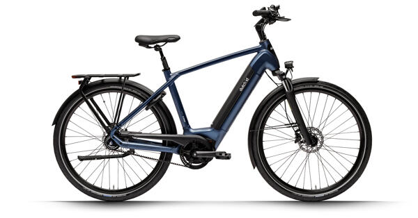 DUTCH ID - Infinity2 50 CI Belt