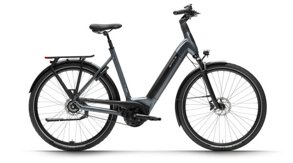 DUTCH ID - Infinity2 S50 N8 Belt