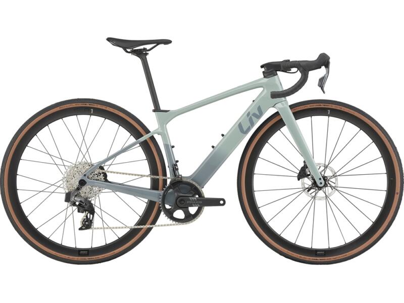 Liv Avail Advanced E+ Elite AR