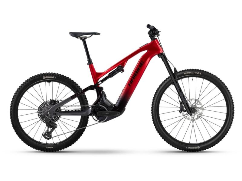 Haibike ALLMTN CF 9