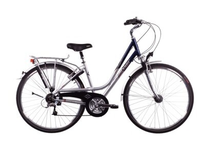 Raleigh Exceter