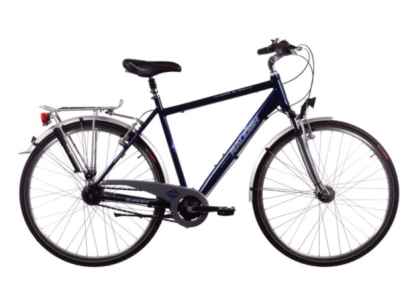 Raleigh Unico de Luxe Herren